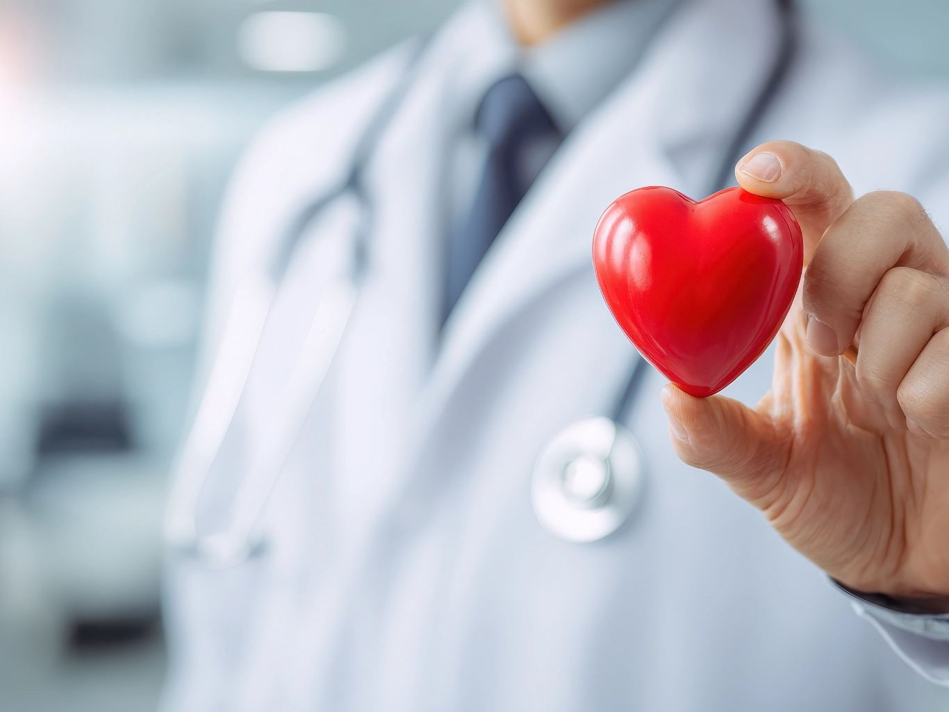 cardiologist holding red heart in clinic